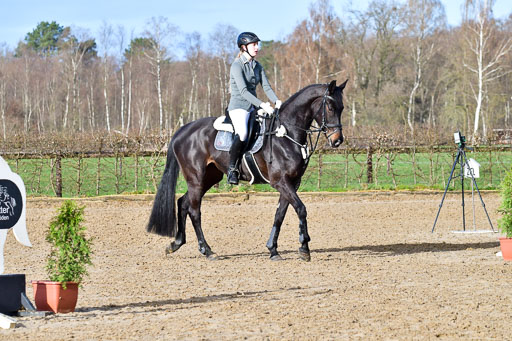 Reitsportzentrum Bremervörde 8.4.21 | 080421 STil A JUN_141 