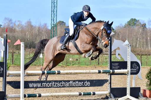 Reitsportzentrum Bremervörde 8.4.21 | 080421 STil A JUN_149 