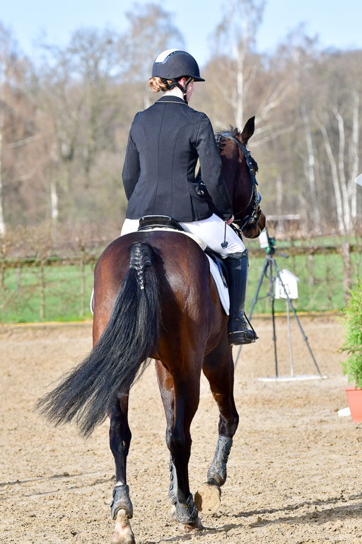 Reitsportzentrum Bremervörde 8.4.21 | 080421 STil A JUN_150 