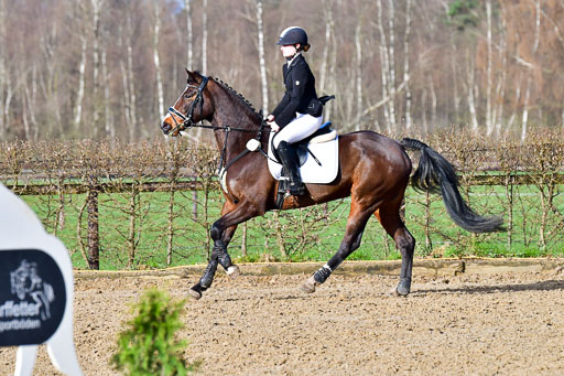 Reitsportzentrum Bremervörde 8.4.21 | 080421 STil A JUN_152 