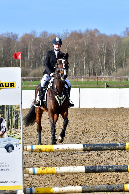 Reitsportzentrum Bremervörde 8.4.21 | 080421 STil A JUN_153 