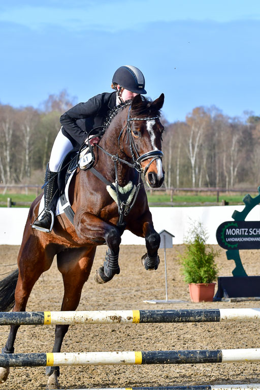 Reitsportzentrum Bremervörde 8.4.21 | 080421 STil A JUN_154 