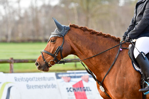 Reitsportzentrum Bremervörde 8.4.21 | 080421 STil A JUN_180 