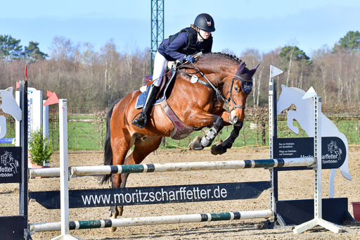 Reitsportzentrum Bremervörde 8.4.21 | 080421 STil A JUN_200 