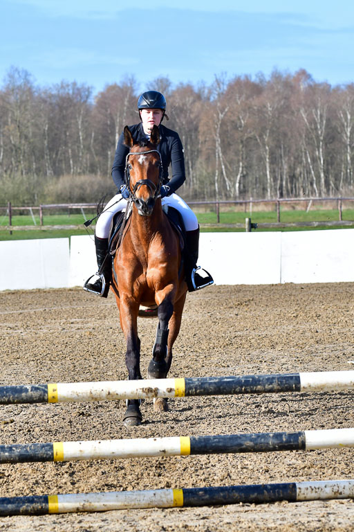 Reitsportzentrum Bremervörde 8.4.21 | 080421 STil A JUN_212 