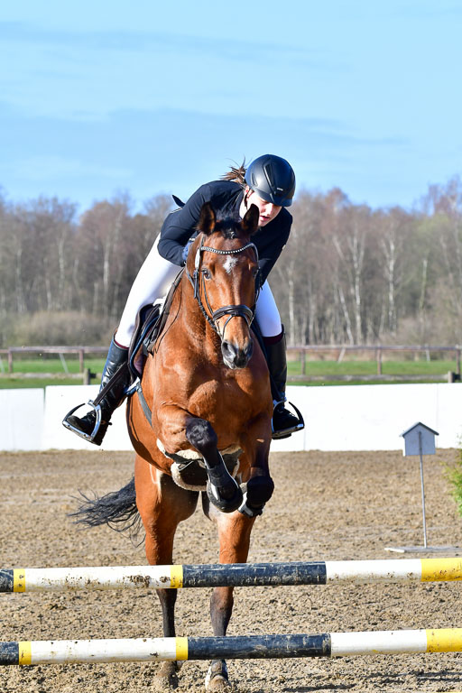 Reitsportzentrum Bremervörde 8.4.21 | 080421 STil A JUN_213 