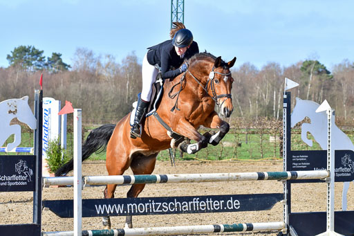 Reitsportzentrum Bremervörde 8.4.21 | 080421 STil A JUN_217 