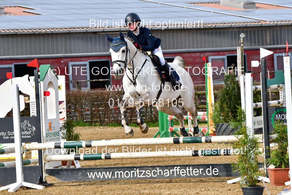 Reitsportzentrum Bremervörde 10.04.21 | 10421 Stilspring WB_014