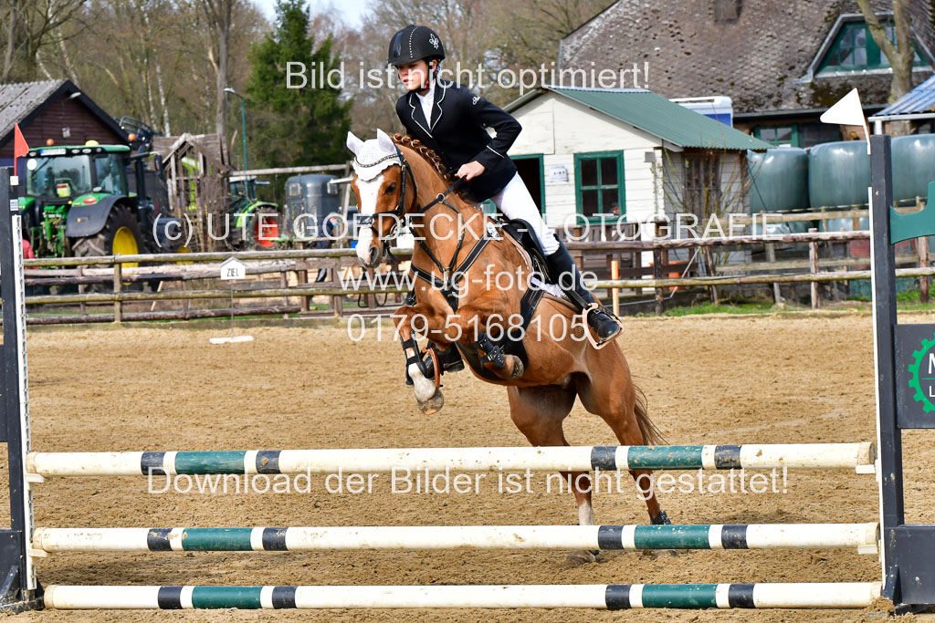 Reitsportzentrum Bremervörde 10.04.21 | 10421 Stilspring WB_021 