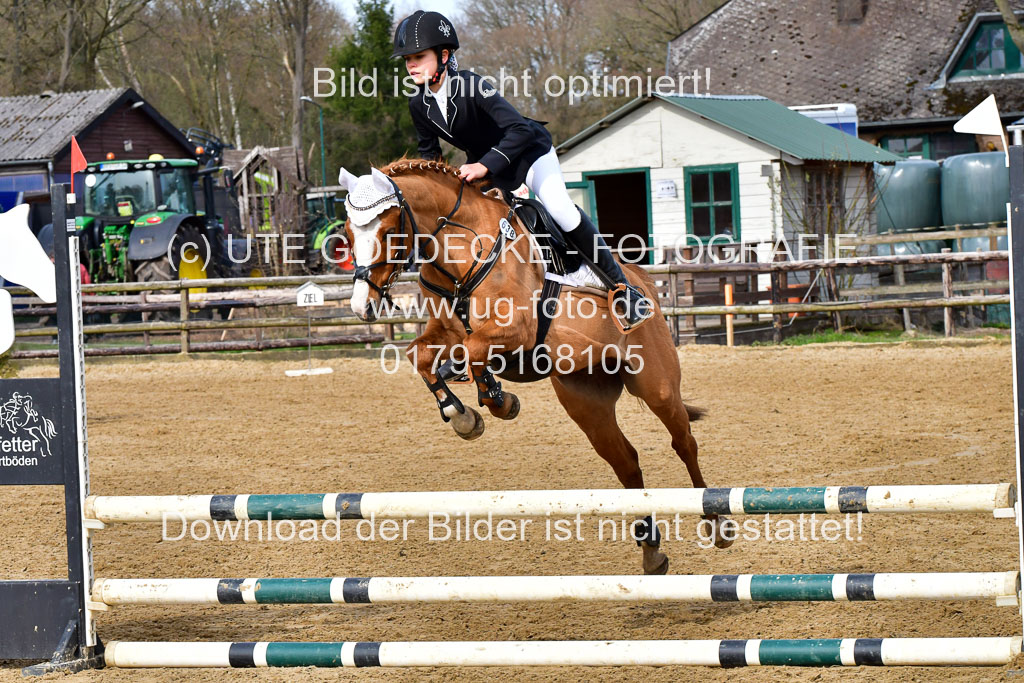 Reitsportzentrum Bremervörde 10.04.21 | 10421 Stilspring WB_022