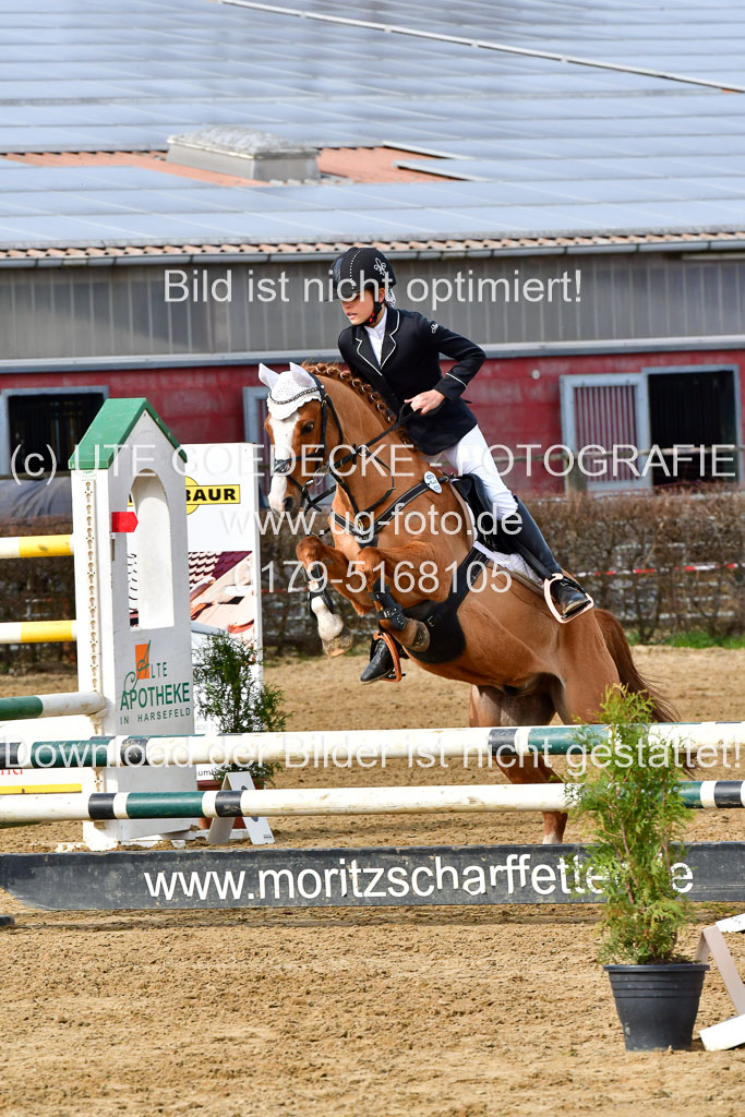 Reitsportzentrum Bremervörde 10.04.21 | 10421 Stilspring WB_024