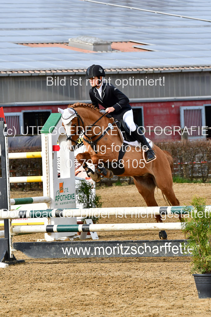Reitsportzentrum Bremervörde 10.04.21 | 10421 Stilspring WB_025
