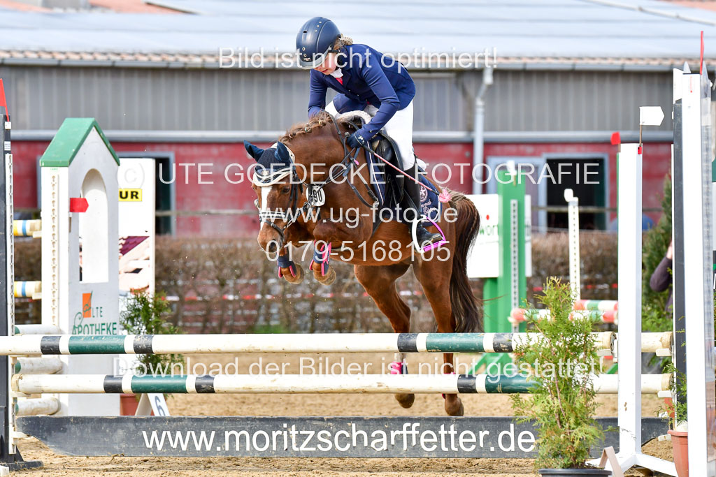 Reitsportzentrum Bremervörde 10.04.21 | 10421 Stilspring WB_038