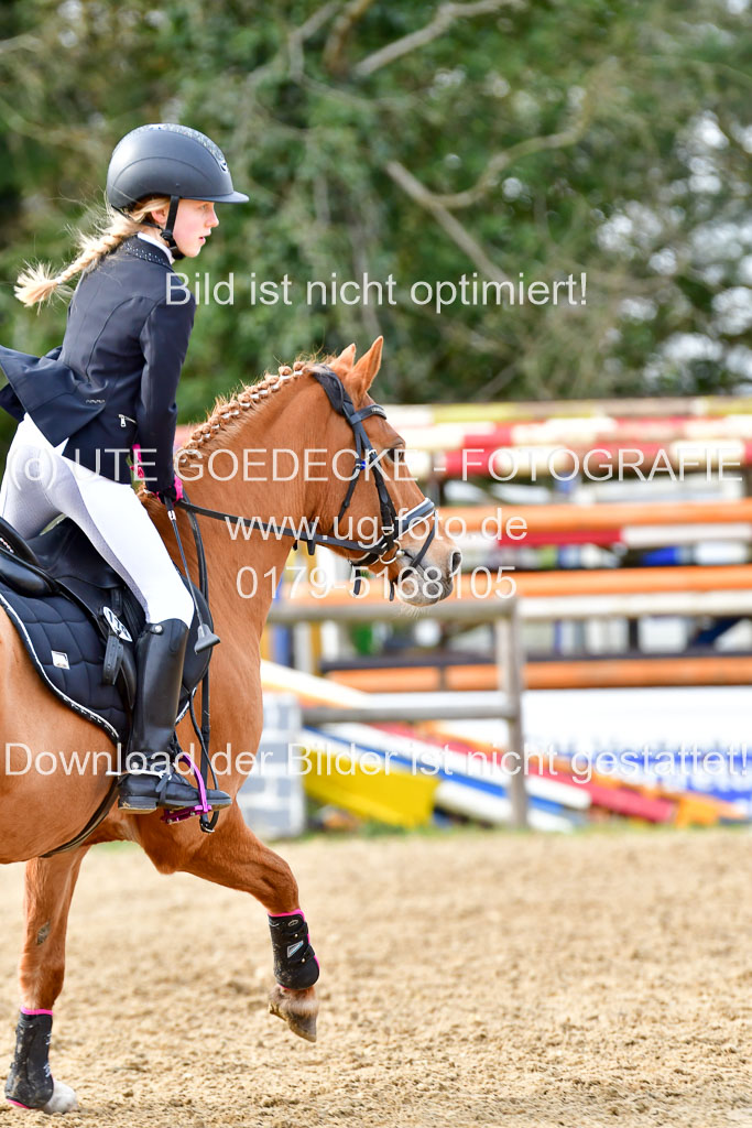 Reitsportzentrum Bremervörde 10.04.21 | 10421 Stilspring WB_060