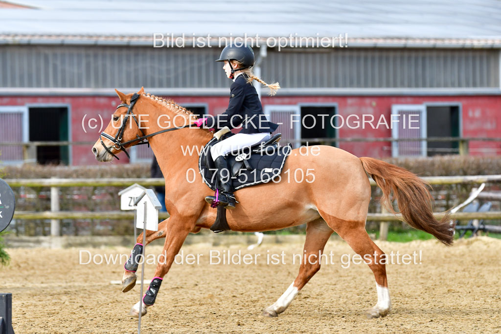 Reitsportzentrum Bremervörde 10.04.21 | 10421 Stilspring WB_063