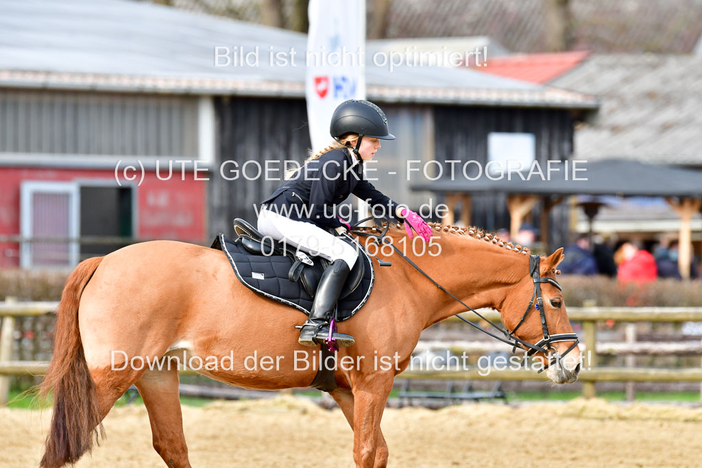 Reitsportzentrum Bremervörde 10.04.21 | 10421 Stilspring WB_065