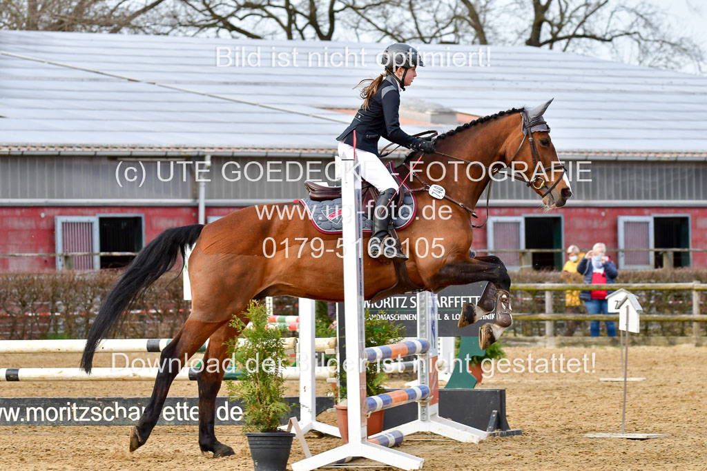 Reitsportzentrum Bremervörde 10.04.21 | 10421 Stilspring WB_081