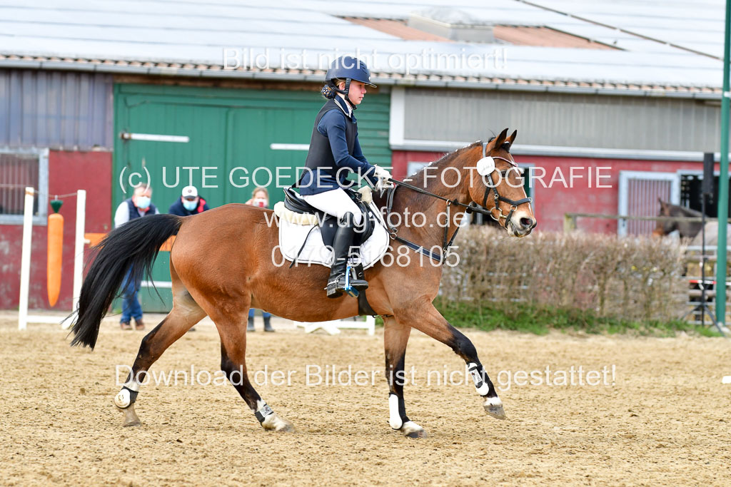 Reitsportzentrum Bremervörde 10.04.21 | 10421 Stilspring WB_097