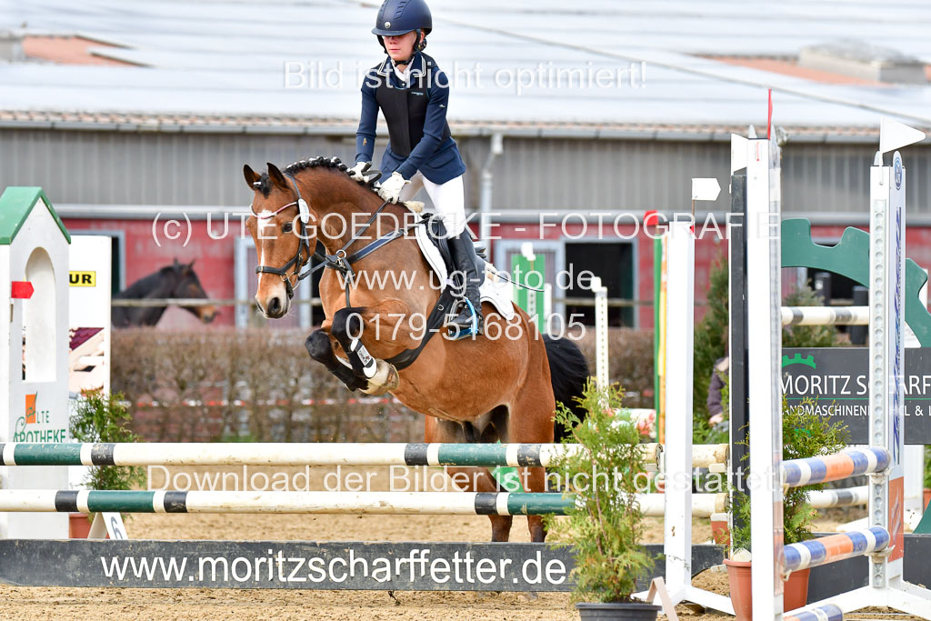 Reitsportzentrum Bremervörde 10.04.21 | 10421 Stilspring WB_099