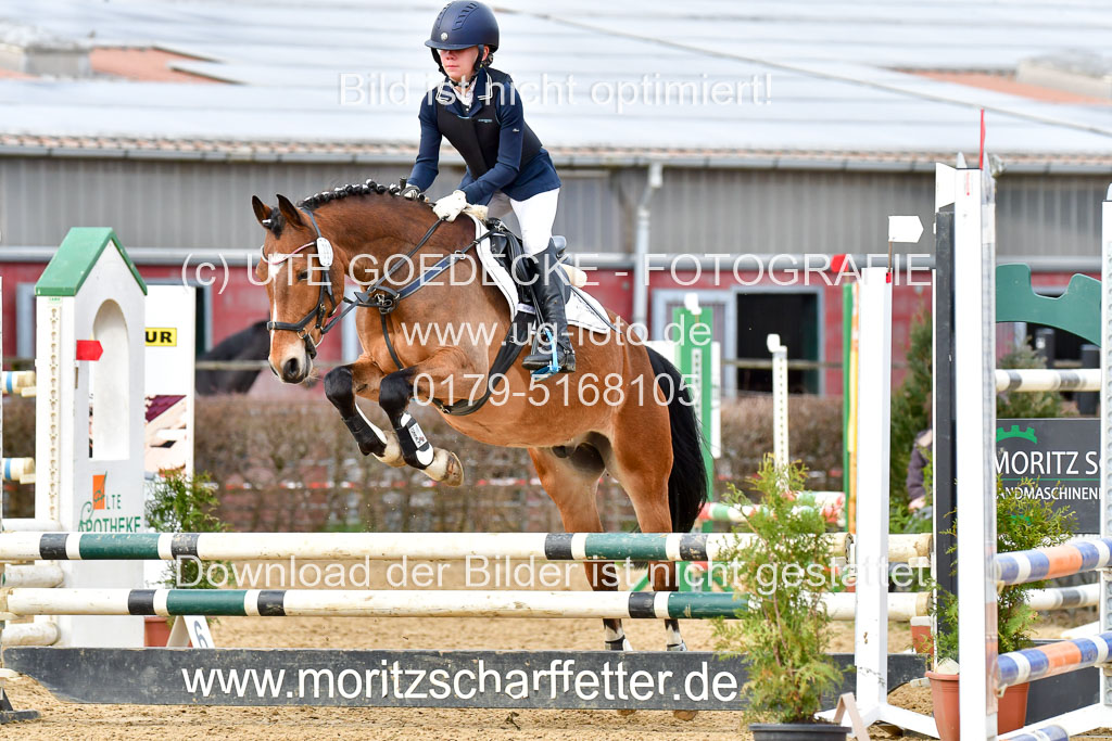 Reitsportzentrum Bremervörde 10.04.21 | 10421 Stilspring WB_100 