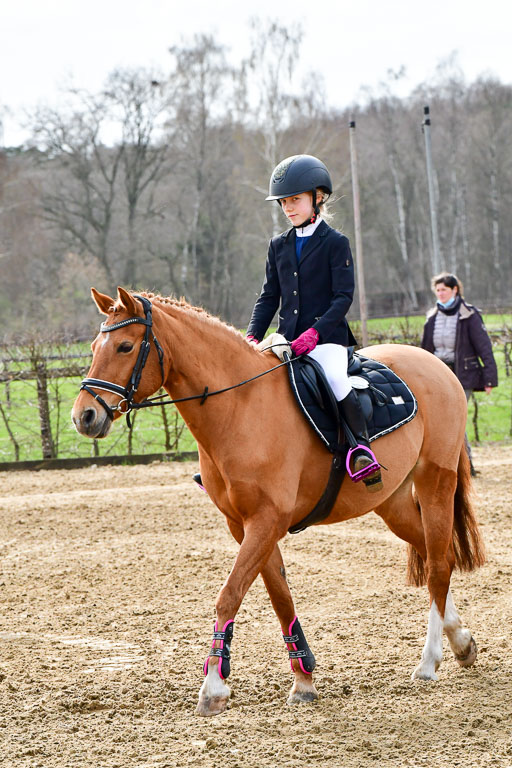 Reitsportzentrum Bremervörde 10.04.21 | 10421 Stilspring WB_002 