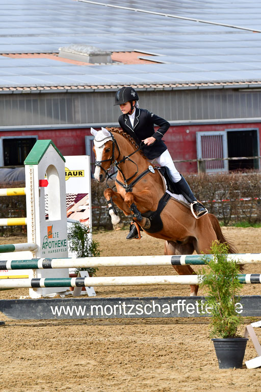 Reitsportzentrum Bremervörde 10.04.21 | 10421 Stilspring WB_024 