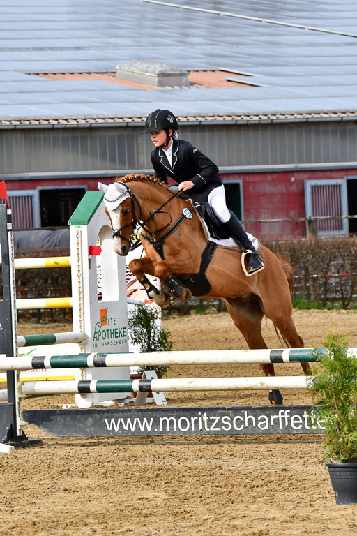 Reitsportzentrum Bremervörde 10.04.21 | 10421 Stilspring WB_025 