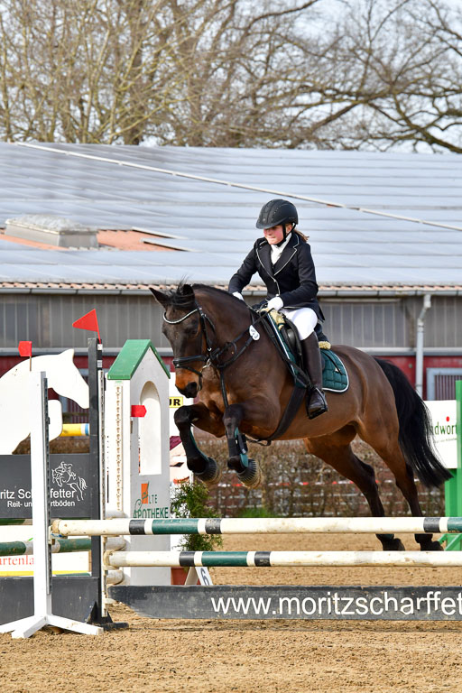Reitsportzentrum Bremervörde 10.04.21 | 10421 Stilspring WB_029 