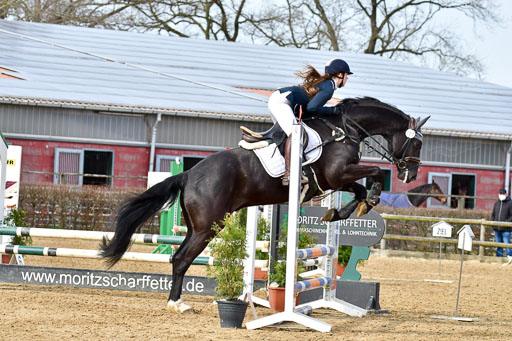 Reitsportzentrum Bremervörde 10.04.21 | 10421 Stilspring WB_032 
