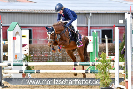 Reitsportzentrum Bremervörde 10.04.21 | 10421 Stilspring WB_038 