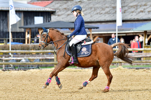 Reitsportzentrum Bremervörde 10.04.21 | 10421 Stilspring WB_039 
