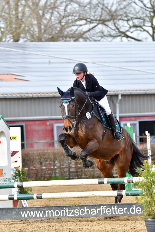 Reitsportzentrum Bremervörde 10.04.21 | 10421 Stilspring WB_041 