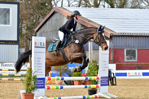 Reitsportzentrum Bremervörde 10.04.21 | 10421 Stilspring WB_044 