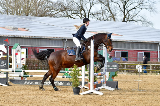 Reitsportzentrum Bremervörde 10.04.21 | 10421 Stilspring WB_051 