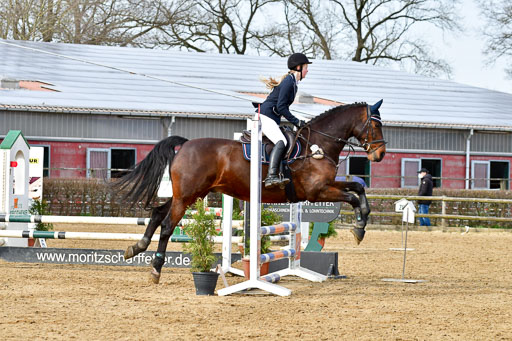 Reitsportzentrum Bremervörde 10.04.21 | 10421 Stilspring WB_052 