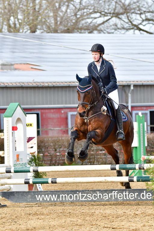 Reitsportzentrum Bremervörde 10.04.21 | 10421 Stilspring WB_054 