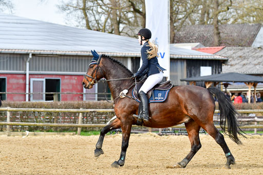 Reitsportzentrum Bremervörde 10.04.21 | 10421 Stilspring WB_055 
