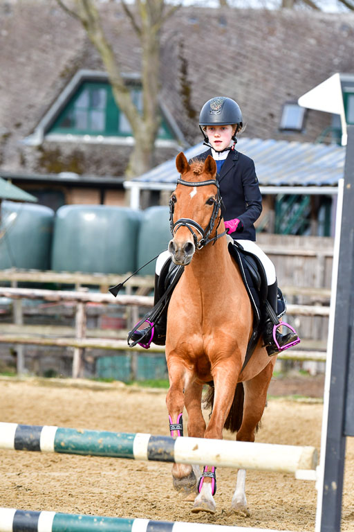 Reitsportzentrum Bremervörde 10.04.21 | 10421 Stilspring WB_057 