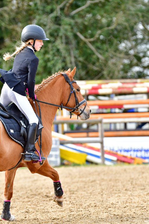 Reitsportzentrum Bremervörde 10.04.21 | 10421 Stilspring WB_060 