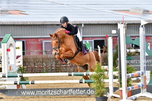 Reitsportzentrum Bremervörde 10.04.21 | 10421 Stilspring WB_062 
