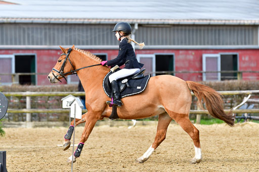 Reitsportzentrum Bremervörde 10.04.21 | 10421 Stilspring WB_063 