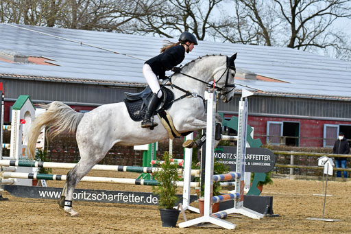 Reitsportzentrum Bremervörde 10.04.21 | 10421 Stilspring WB_067 