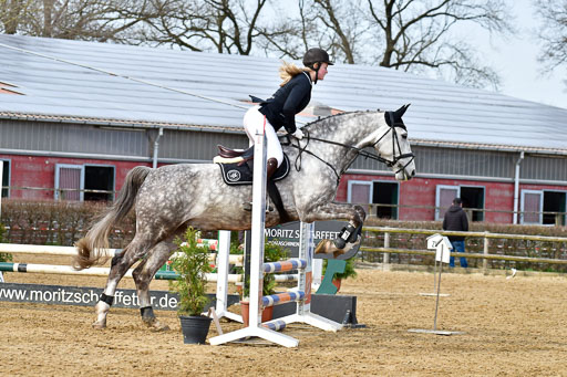 Reitsportzentrum Bremervörde 10.04.21 | 10421 Stilspring WB_071 