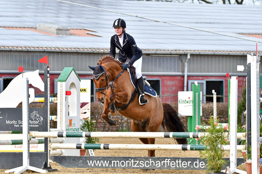 Reitsportzentrum Bremervörde 10.04.21 | 10421 Stilspring WB_077 