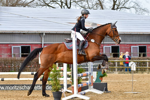 Reitsportzentrum Bremervörde 10.04.21 | 10421 Stilspring WB_081 