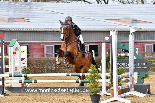 Reitsportzentrum Bremervörde 10.04.21 | 10421 Stilspring WB_082 