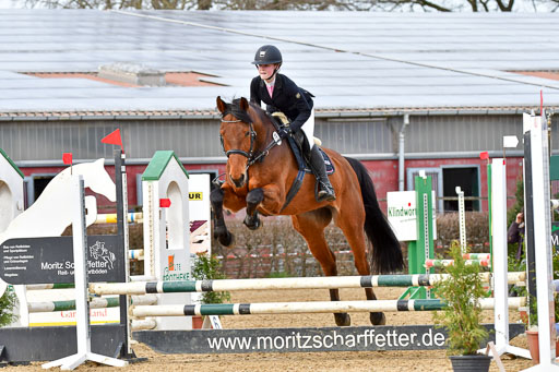 Reitsportzentrum Bremervörde 10.04.21 | 10421 Stilspring WB_089 