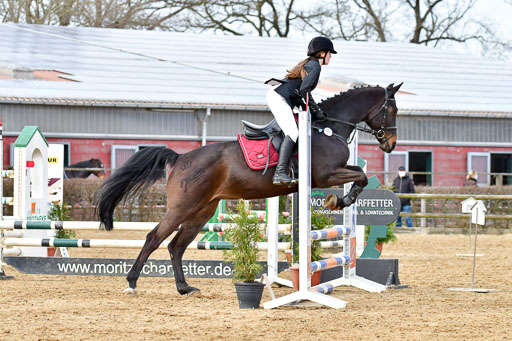Reitsportzentrum Bremervörde 10.04.21 | 10421 Stilspring WB_091 