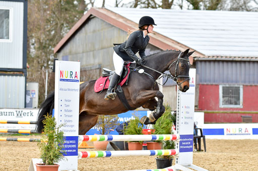 Reitsportzentrum Bremervörde 10.04.21 | 10421 Stilspring WB_094 