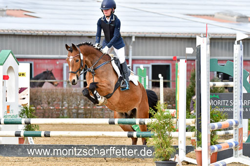 Reitsportzentrum Bremervörde 10.04.21 | 10421 Stilspring WB_099 